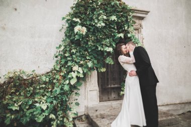 Şehvetli evli çift, eski Slav kalesinin önünde sevgililer günü kucaklaşması.