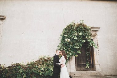 Şehvetli evli çift, eski Slav kalesinin önünde sevgililer günü kucaklaşması.