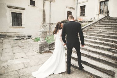 Şehvetli evli çift, eski Slav kalesinin önünde sevgililer günü kucaklaşması.