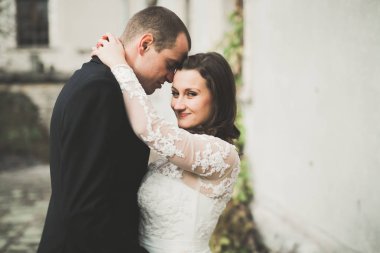 Güzel bir peri masalı yeni evli çift eski ortaçağ şatosunun yakınlarında sarılıyor.