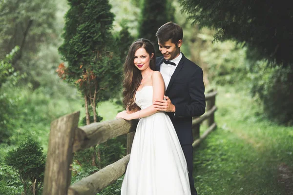 Casal elegante de recém-casados felizes posando no parque em seu dia do casamento — Fotografia de Stock