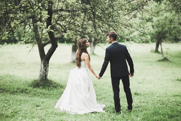 Bruidspaar bruid en bruidegom hand in hand — Stockfoto