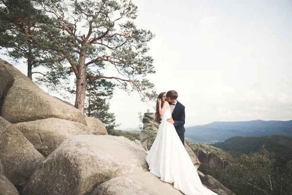 Casal de casamento bonito, noiva e noivo, apaixonado no fundo das montanhas — Fotografia de Stock