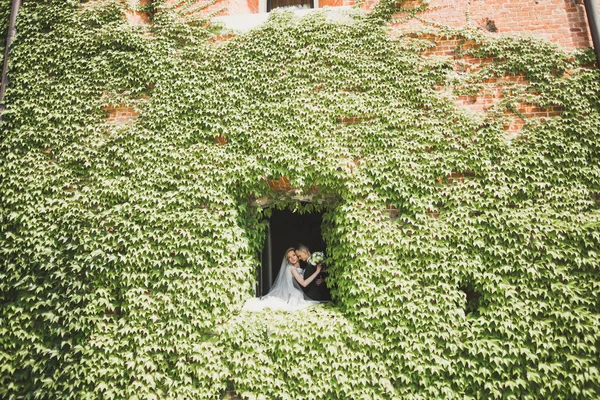 Pareja de matrimonio de lujo, novia y novio posando en la ciudad vieja —  Fotos de Stock