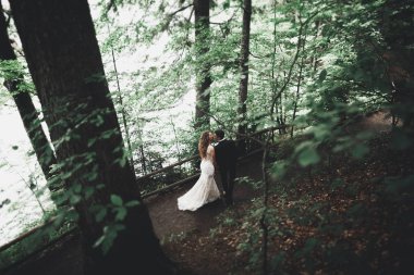 Botanik parkında yürüyen mutlu bir çift.