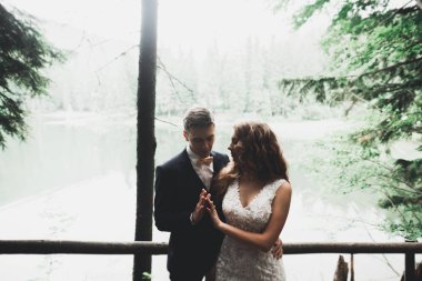 Romantik, peri masalı, mutlu yeni evli çift parkta sarılıp öpüşüyor, arka planda ağaçlar...