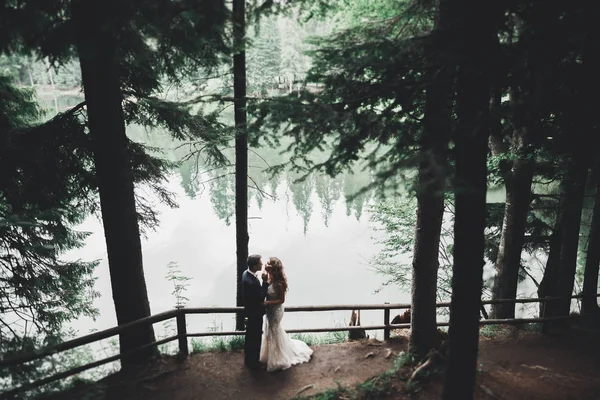 Elegante elegante novia morena feliz y hermoso novio en el fondo de un hermoso río en las montañas —  Fotos de Stock