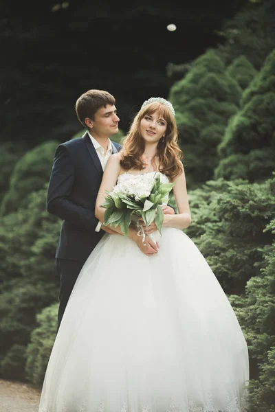 Šťastný svatební pár procházky v botanickém parku — Stock fotografie