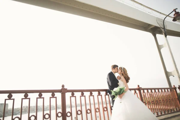 Молодая супружеская пара, красивая невеста с портретом жениха на мосту, летняя природа на открытом воздухе — стоковое фото