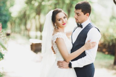 Genç ve güzel bir çiftin yakın çekimi.