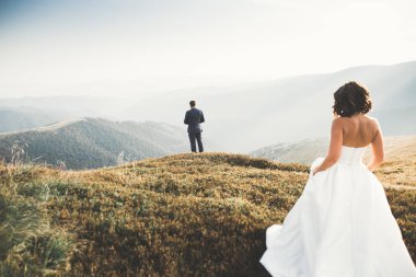 Güzel dağlarda poz veren mutlu bir düğün çifti.