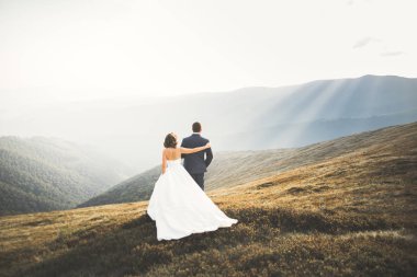 Güzel dağlarda poz veren mutlu bir düğün çifti.