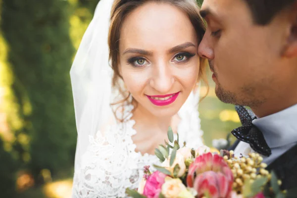 Perfektes Paar Braut, Bräutigam posiert und küsst sich am Hochzeitstag — Stockfoto