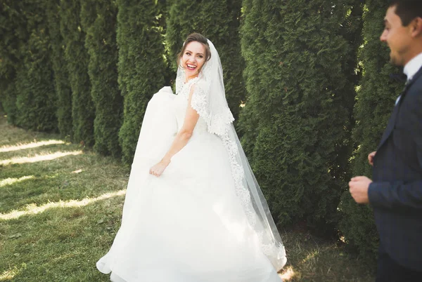 Pareja perfecta novia, novio posando y besándose en el día de su boda — Foto de Stock