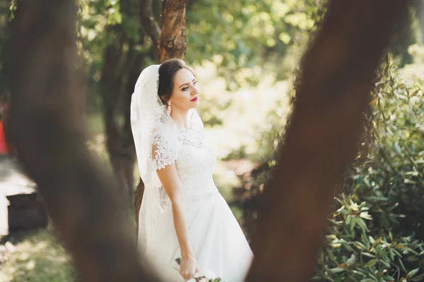 Beautiful luxury young bride in wedding dress posing in park — Stock Photo, Image