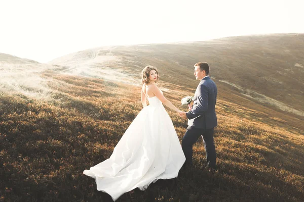 美丽的新婚夫妇在山边亲吻拥抱，风景完美 — 图库照片