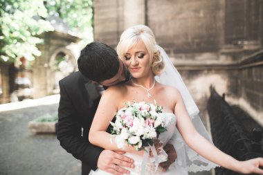 Lüks evli çift, gelin ve damat eski şehirde poz veriyor.