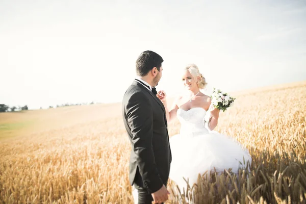 Elegante elegante novia rubia feliz y magnífico novio posando en el campo de trigo en el cielo azul de fondo —  Fotos de Stock