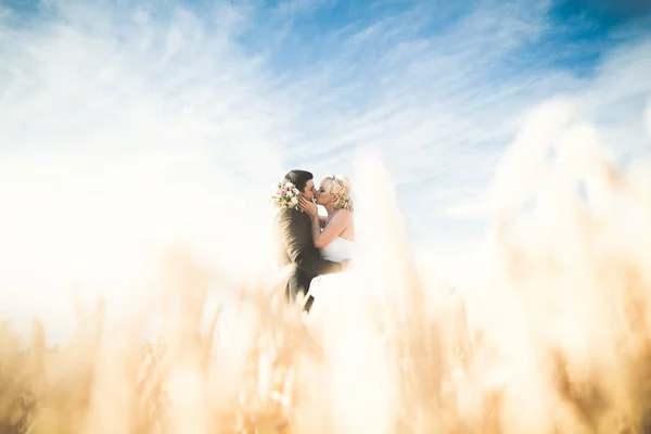 Élégant élégant mariée blonde heureuse et marié magnifique posant dans le champ de blé sur le fond ciel bleu — Photo