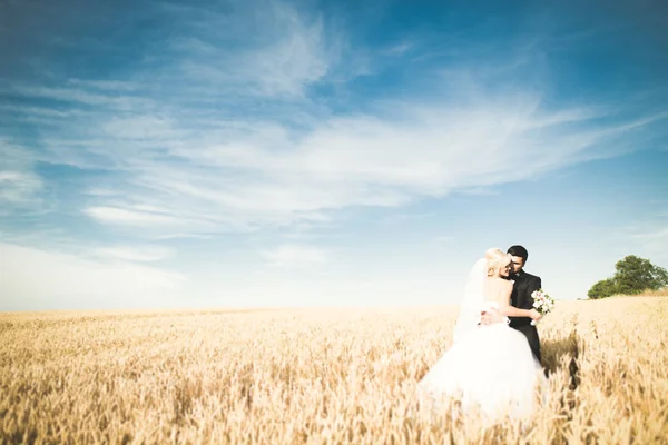 Hermosa pareja de boda, novia y novio posando en el campo de trigo con cielo azul —  Fotos de Stock