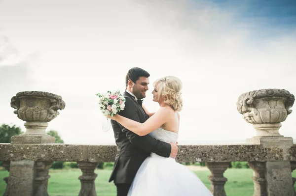 Feliz boda pareja abrazos y besos en el fondo viejo castillo —  Fotos de Stock