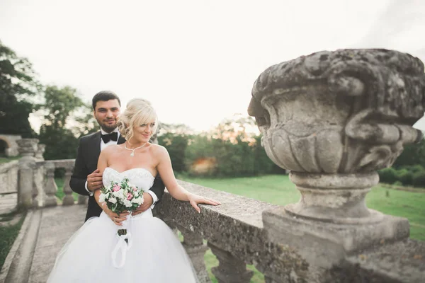 Feliz boda pareja abrazos y besos en el fondo viejo castillo —  Fotos de Stock