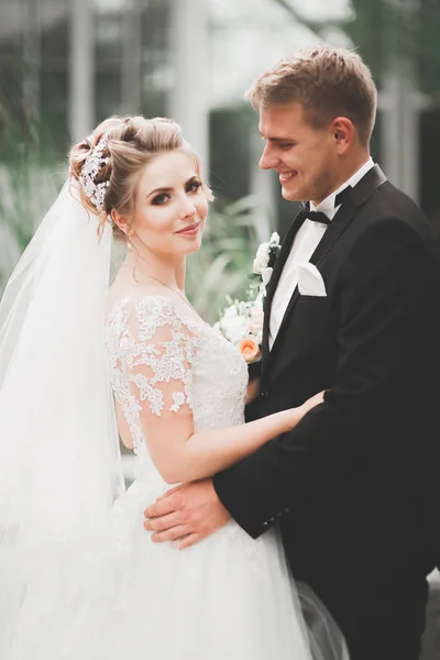 Romántico, cuento de hadas, feliz pareja recién casada abrazándose y besándose en un parque, árboles en el fondo —  Fotos de Stock