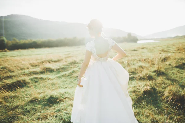 Sposa in abito da sposa in posa su erba con bel paesaggio sfondo — Foto Stock