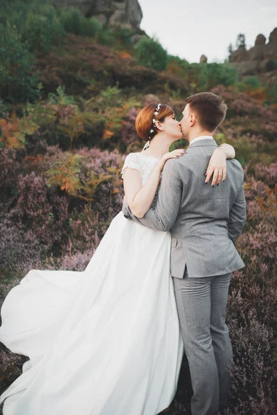 Muhteşem düğün çift öpüşme ve orman büyük kayalar ile sarılma