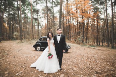 Sadece evli çift lüks retro arabada düğün gününde