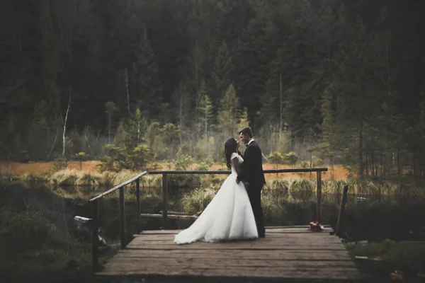 Целовать свадебную пару останавливаясь над красивым ландшафтом — стоковое фото