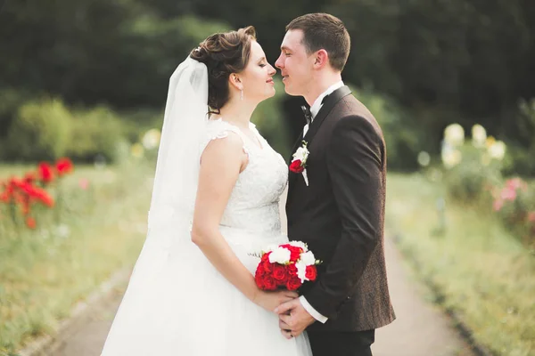 Elegante coppia di sposi felici che passeggiano nel parco il giorno del loro matrimonio con bouquet — Foto Stock