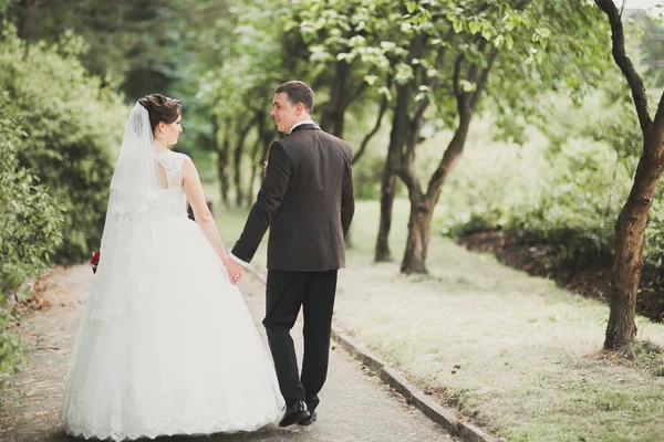 Pareja recién casada corriendo y saltando en el parque mientras se toma de la mano —  Fotos de Stock