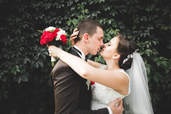 Romântico, conto de fadas, feliz casal recém-casado abraçando e beijando em um parque, árvores no fundo — Fotografia de Stock