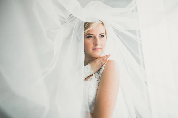 Retrato de novia hermosa con velo de moda en la mañana de la boda — Foto de Stock