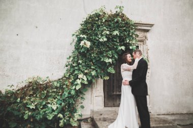 Şehvetli evli çift, eski Slav kalesinin önünde sevgililer günü kucaklaşması.