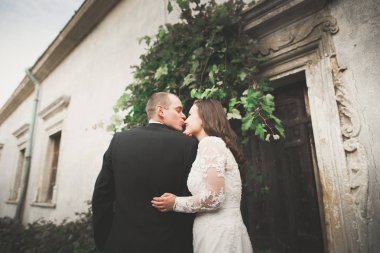 Güzel bir peri masalı yeni evli çift eski ortaçağ şatosunun yakınlarında sarılıyor.