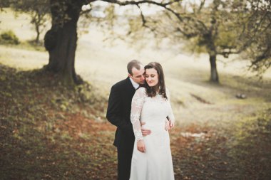 Romantik, peri masalı, mutlu yeni evli çift parkta sarılıp öpüşüyor, arka planda ağaçlar...