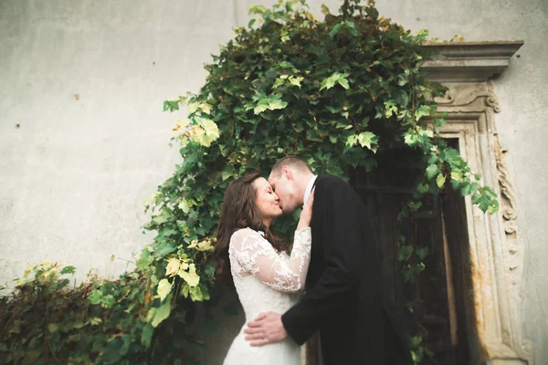 Magnifique conte de fées couple nouvellement marié câlin près du vieux château médiéval — Photo