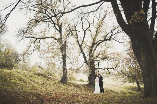 Romantyczna, baśniowa, szczęśliwa para nowożeńców przytulająca się i całująca w parku, drzewa w tle — Zdjęcie stockowe