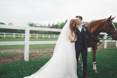 Gelin ve damat atlarla ormanda. Düğün çifti. Doğada güzel portre