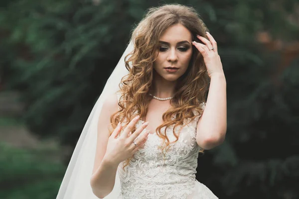 Belle mariée de luxe en robe blanche élégante — Photo