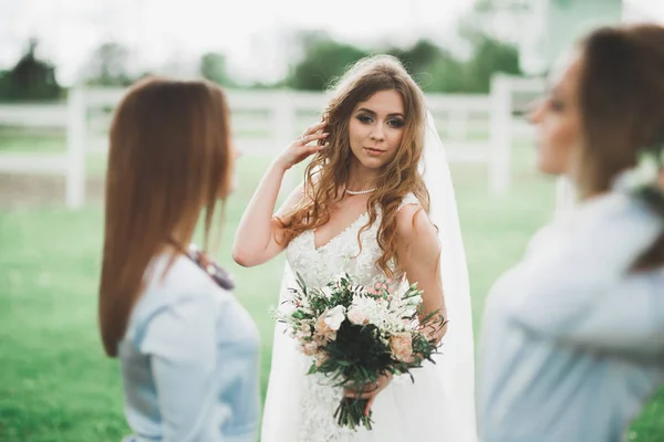 Noiva com damas de honra no parque no dia do casamento — Fotografia de Stock