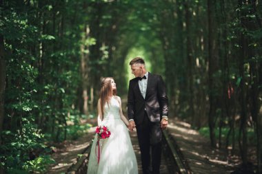 lüks şık genç gelin ve damat üzerinde arka plan bahar güneşli yeşil orman