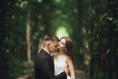 Mutlu düğün çift büyüleyici damat ve mükemmel gelin parkta poz