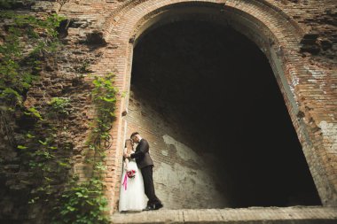 Mutlu yeni evliler yürüyüşte antik castle yakınındaki oteller