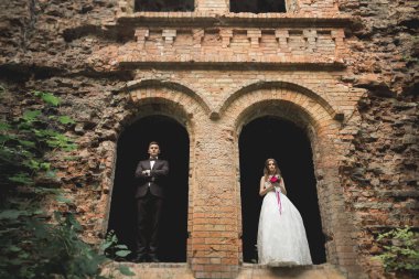 Güzel, romantik bir düğün. Yeni evliler. Eski kalenin yakınlarında sarılıyorlar.
