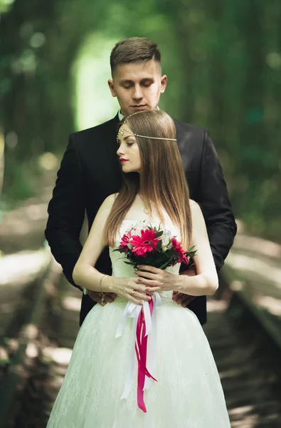 Mutlu düğün çift büyüleyici damat ve mükemmel gelin parkta poz — Stok fotoğraf