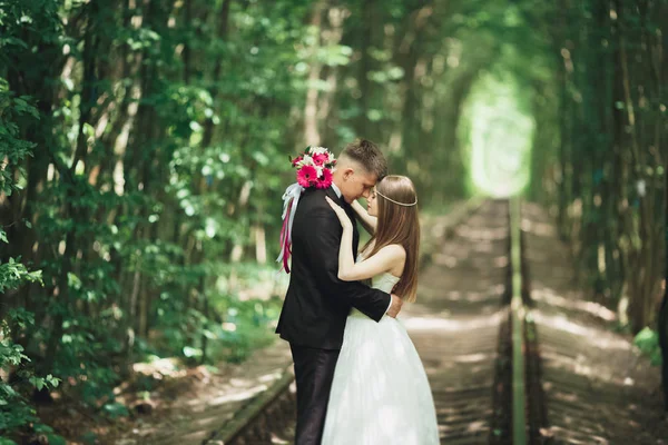 Lyxiga eleganta unga bruden och brudgummen på bakgrunden våren solig grön skog — Stockfoto