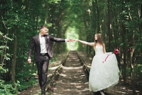 Wedding couple bride and groom holding hands — Stock Photo, Image